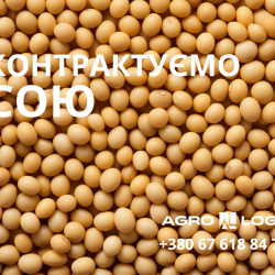  КУПИМО !СОЮ БЕЗ ГМО: FCA  Західна Україна !380 euro/18 500грн!