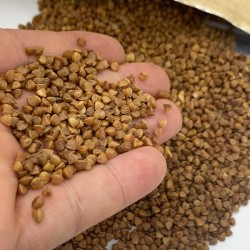 Продам гречку гречневую крупу 