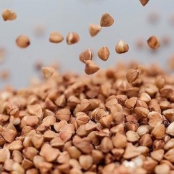 Продається високоякісне зерно гречки  