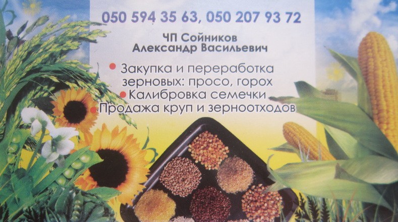 КРУПА OT ВИРОБНИКА ПРОДАЄМО: КРУПА - ПШЕНО