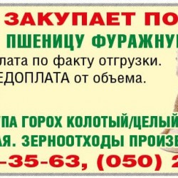 КРУПА OT ВИРОБНИКА ПРОДАЄМО: КРУПА - ПШЕНО