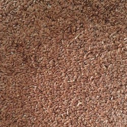 Продам семена льна  лён коричневый товарный 