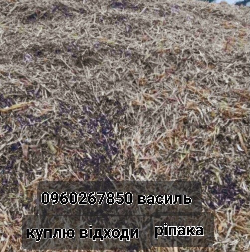 Купим Відходи ріпака