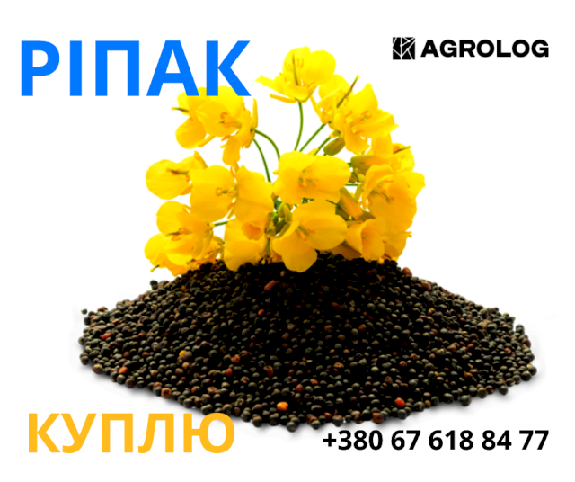 КУПИМО РІПАК! FCA Ягодин  23000 грн/ 470Є