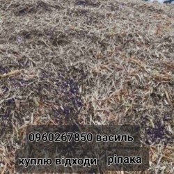 Купим Відходи ріпака