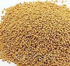 Продам насіння Гірчиці жовтої  від 10кг  Оплата безготівкова з ПДВ  ціна 140грн/ кг  Волинська обл 