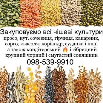 Закуповуємо всі нішеві культури! Кондитерський соняшник 