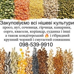 Закуповуємо всі нішеві культури! Кондитерський соняшник 