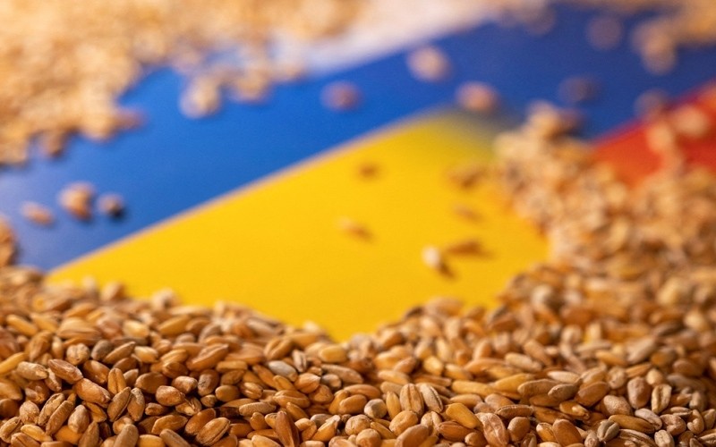 Куплю Насіння соняшнику  кукуруза  пшениця  соя  ріпак  коріандр  льон  горох  шрот соняшниковий  шрот соєвий  нут  олія соняшникова  просо  сорго