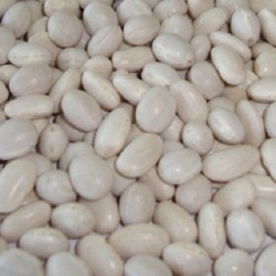 Продам фасоль в любые объемы 