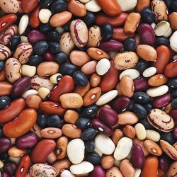 Продам квасолю будь-які обсяги 