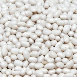 Фасоль продам  Купить фасоль