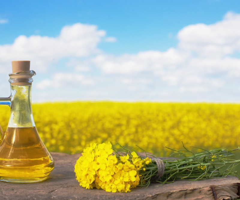 Євро-комерс закупляє гуртом всю олійну та зернову продукцію  Львівська обл 