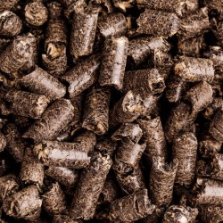 Куплю всю олійну та зернову продукцію гуртом  Львівська обл 