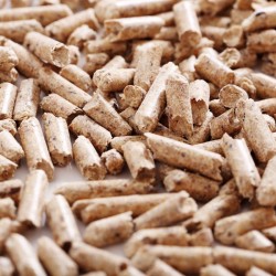 Куплю всю зернову та олійну продукцію  Львівська обл 